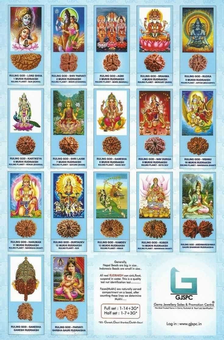 Rudraksha ruling deities and planets